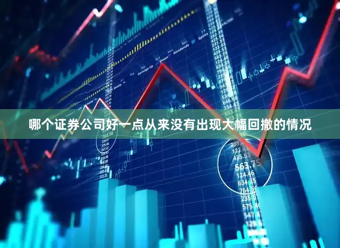 哪个证券公司好一点从来没有出现大幅回撤的情况