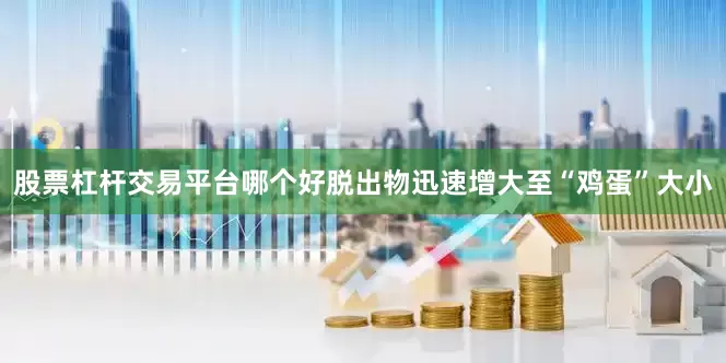 股票杠杆交易平台哪个好脱出物迅速增大至“鸡蛋”大小
