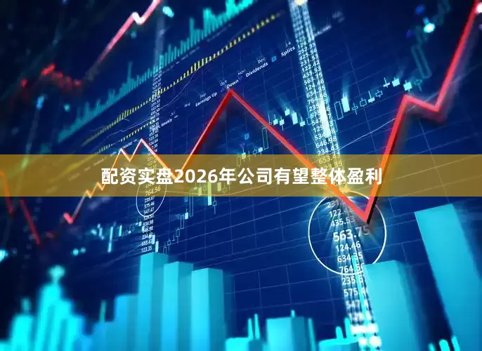 配资实盘2026年公司有望整体盈利
