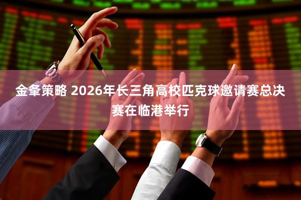 金夆策略 2026年长三角高校匹克球邀请赛总决赛在临港举行