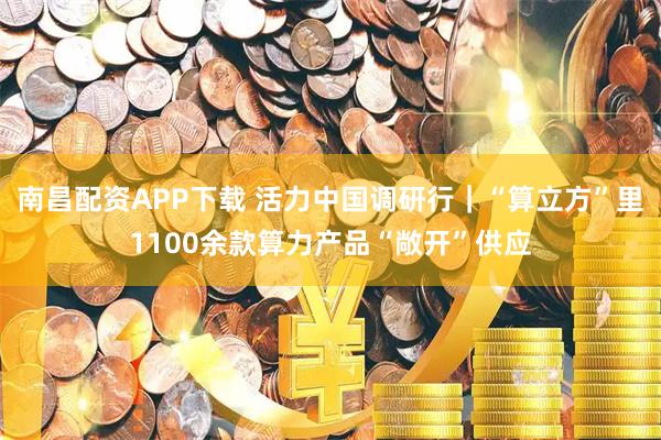 南昌配资APP下载 活力中国调研行｜“算立方”里1100余款算力产品“敞开”供应